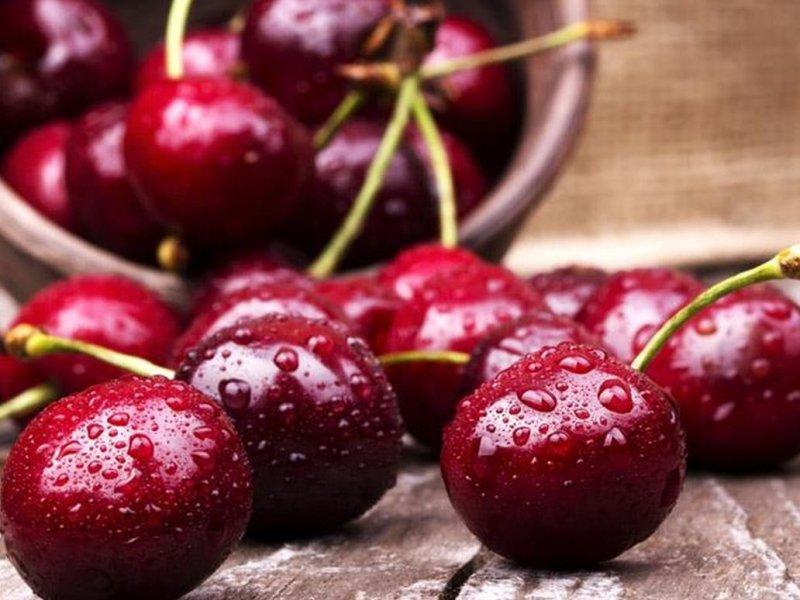 Вишня купить саженцы из питомника в Боровичах